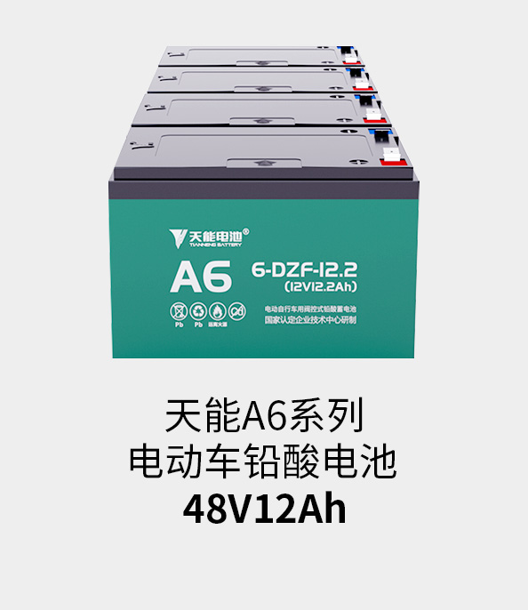 LEwin乐玩电池48v12ah