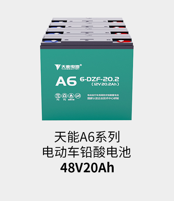 LEwin乐玩电池48v20ah