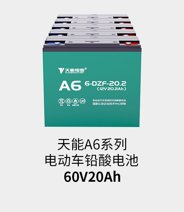 LEwin乐玩电池60v20ah