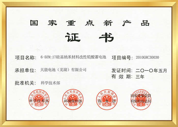 2010年国家重点新产物（硅基纳米电池）