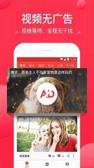 西瓜视频免费入口观看